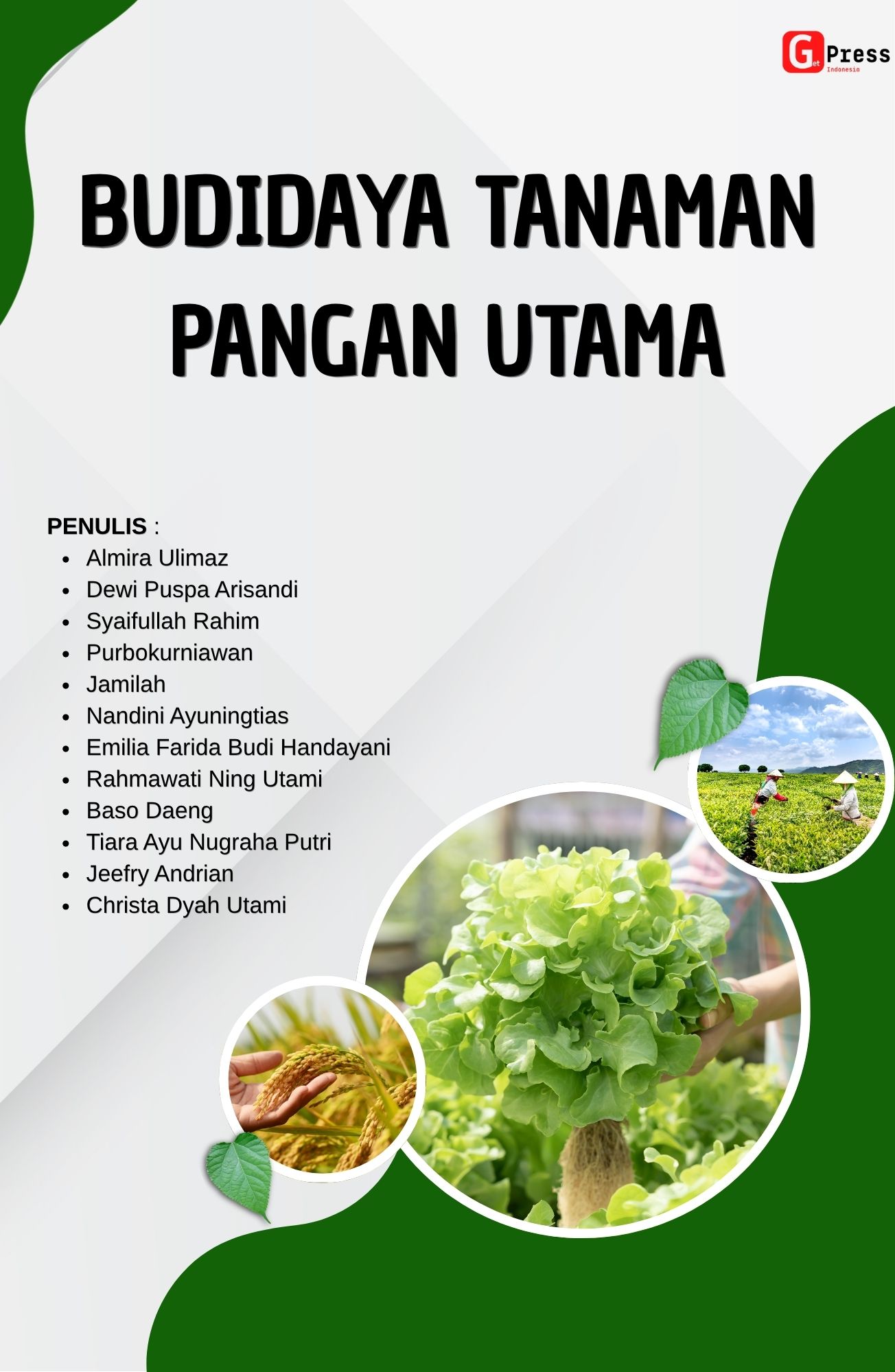 Budidaya Tanaman Pangan Utama